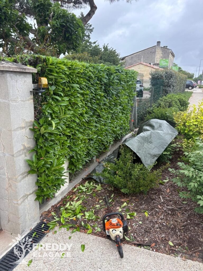 Entretien jardin, Taille & végétation, Entretien de jardin, Taille de haies