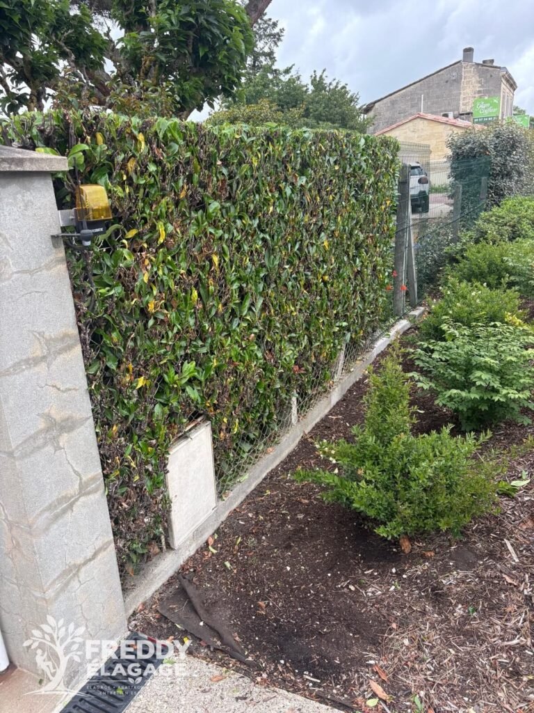 Taille de haies et entretien des espaces verts